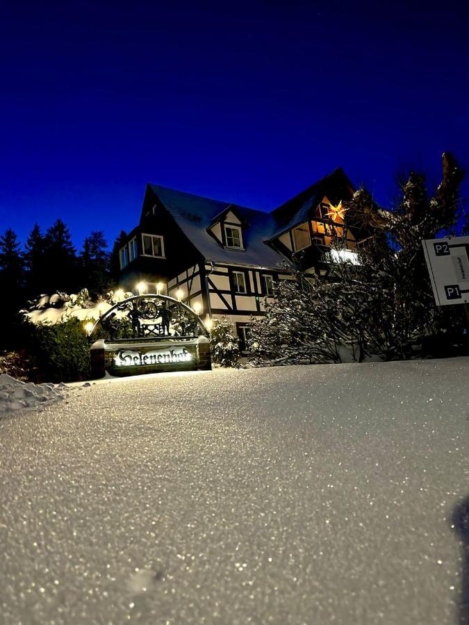 Hotel Helenenhof Altenberg  Exterior foto